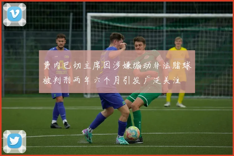 费内巴切主席因涉嫌煽动非法赌球被判刑两年六个月引发广泛关注
