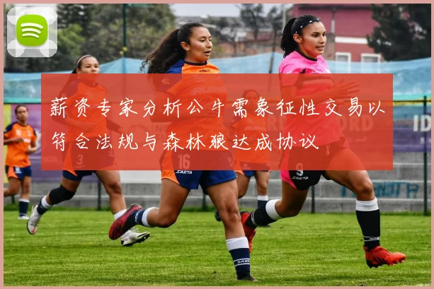 薪资专家分析公牛需象征性交易以符合法规与森林狼达成协议