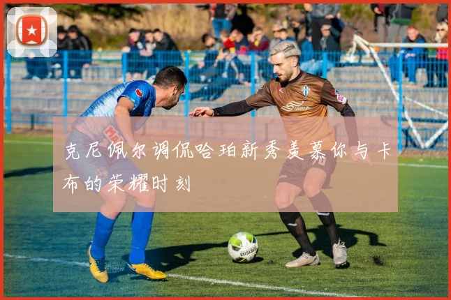克尼佩尔调侃哈珀新秀羡慕你与卡布的荣耀时刻