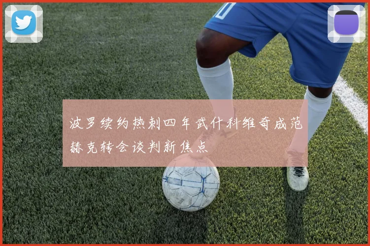 波罗续约热刺四年武什科维奇成范赫克转会谈判新焦点